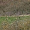 03 a Keltenweg